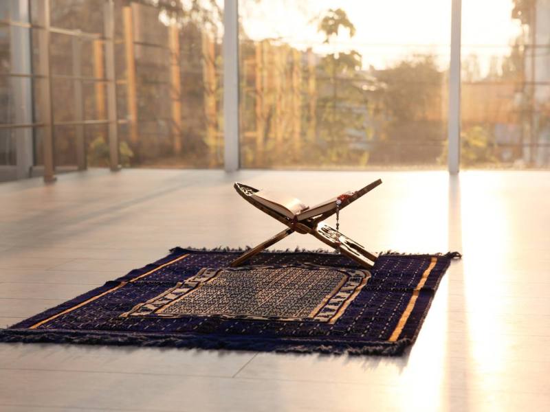 Die Reise des&nbsp;Menschen