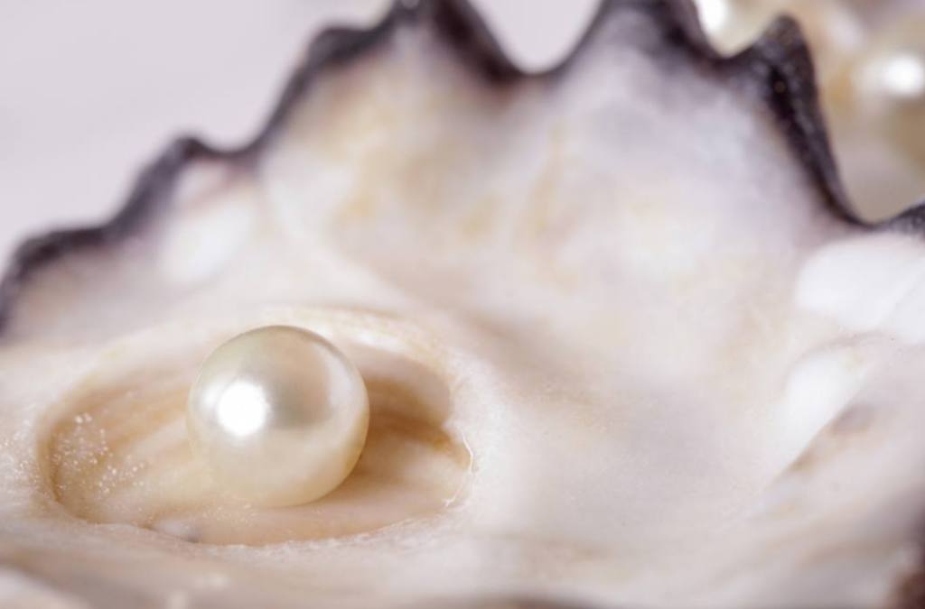 Unsere Schamhafte und keusche&nbsp;Mutter